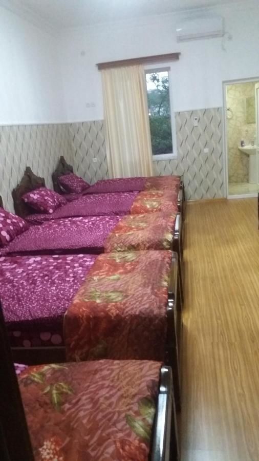 Гостевой дом Guest House Fazisi Кутаиси-30