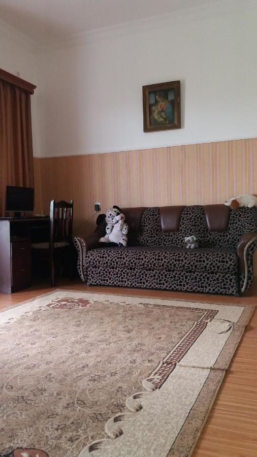 Гостевой дом Guest House Fazisi Кутаиси-44